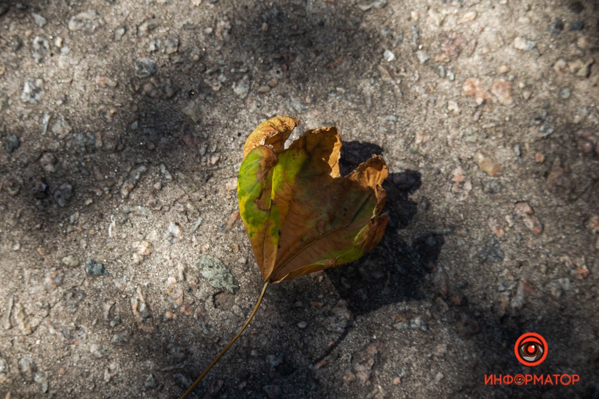 Привет, осень