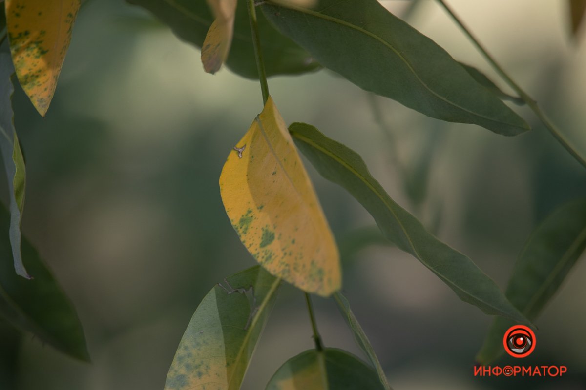 Еще чуть-чуть