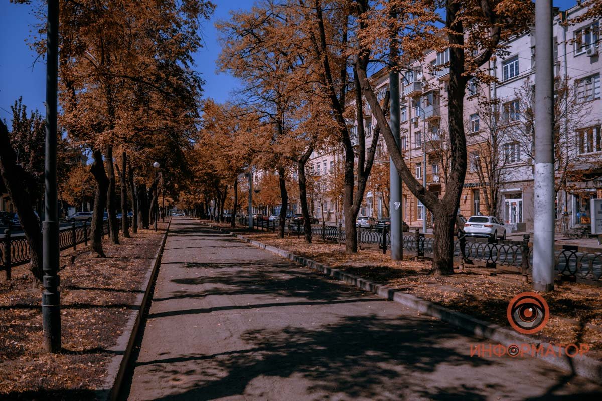 Деревья рыжеют