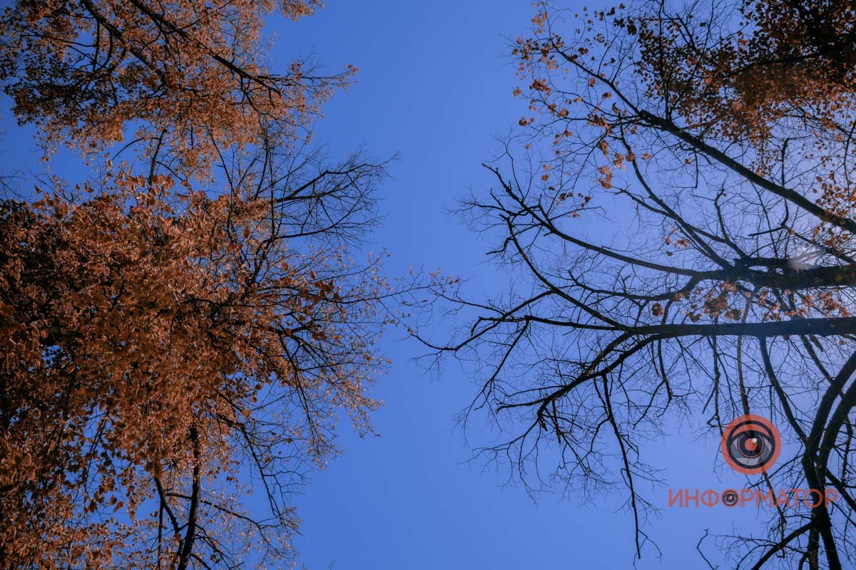 Мы тебя ждали, сентябрь