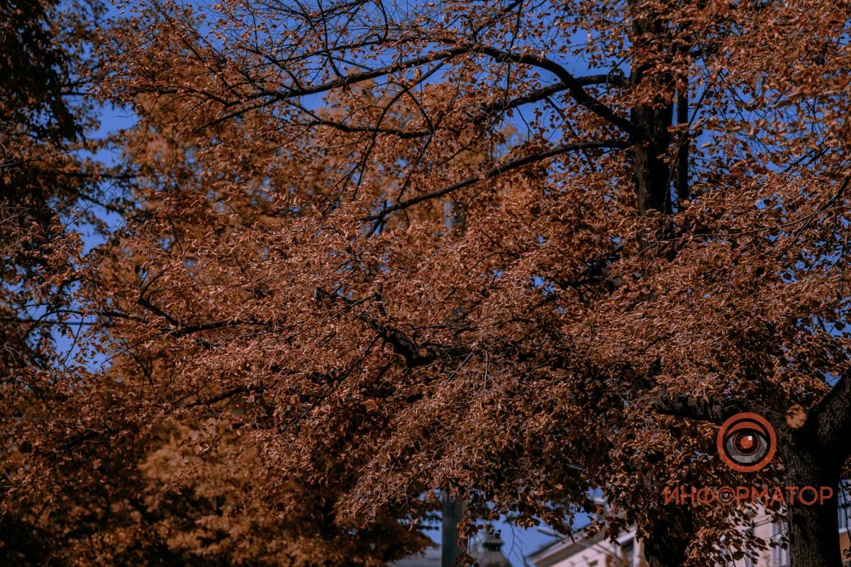 Вспыхивают красным