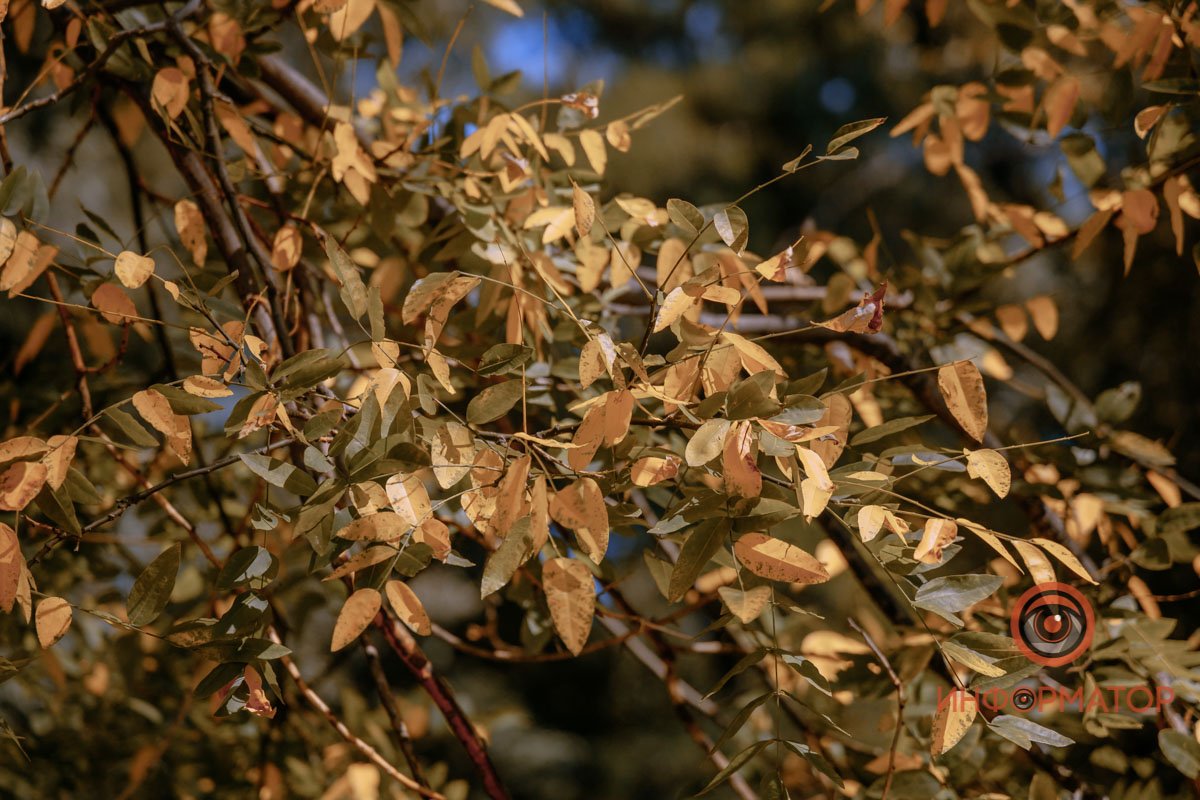 Можно еще немного температуру подкрутить?