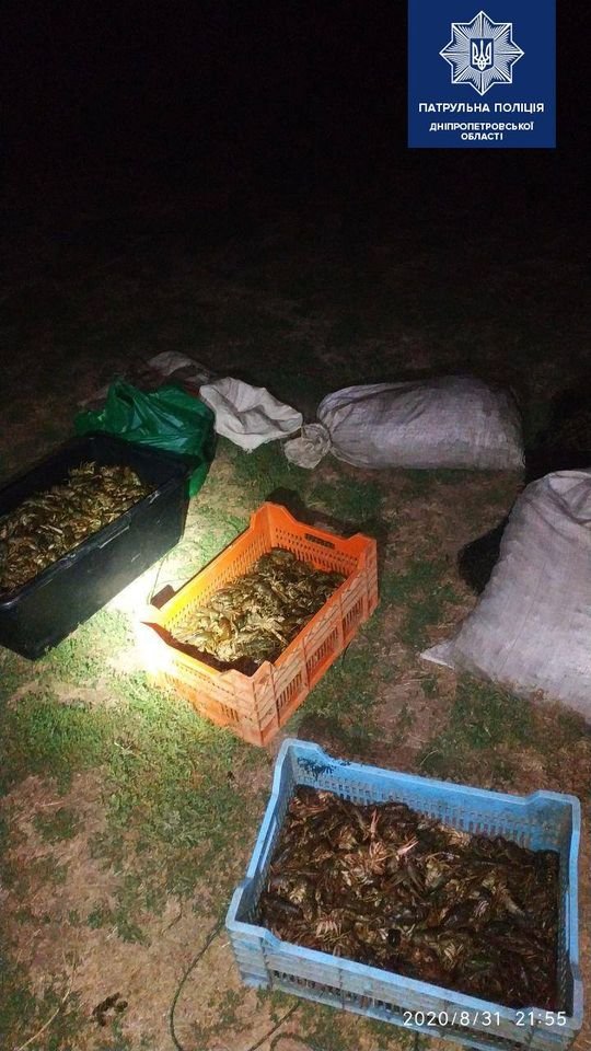 Браконьеры выловили 3500 раков Браконьеры выловили 3500 раков