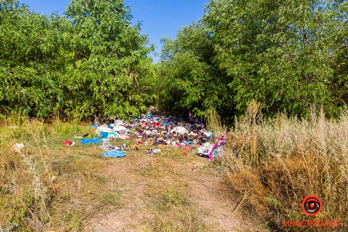 Некоторые местные жители уже начинают здесь ревизию Некоторые местные жители уже начинают здесь ревизию