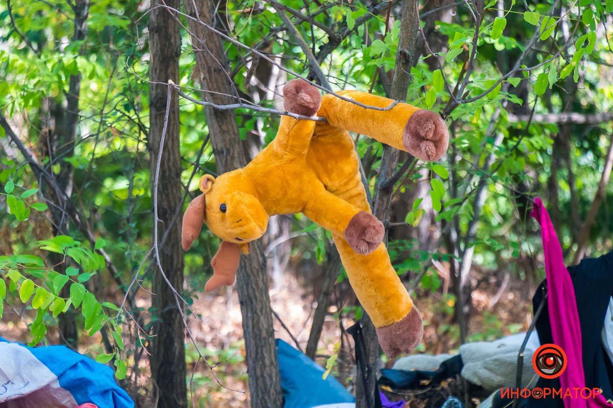 Детские игрушки Детские игрушки