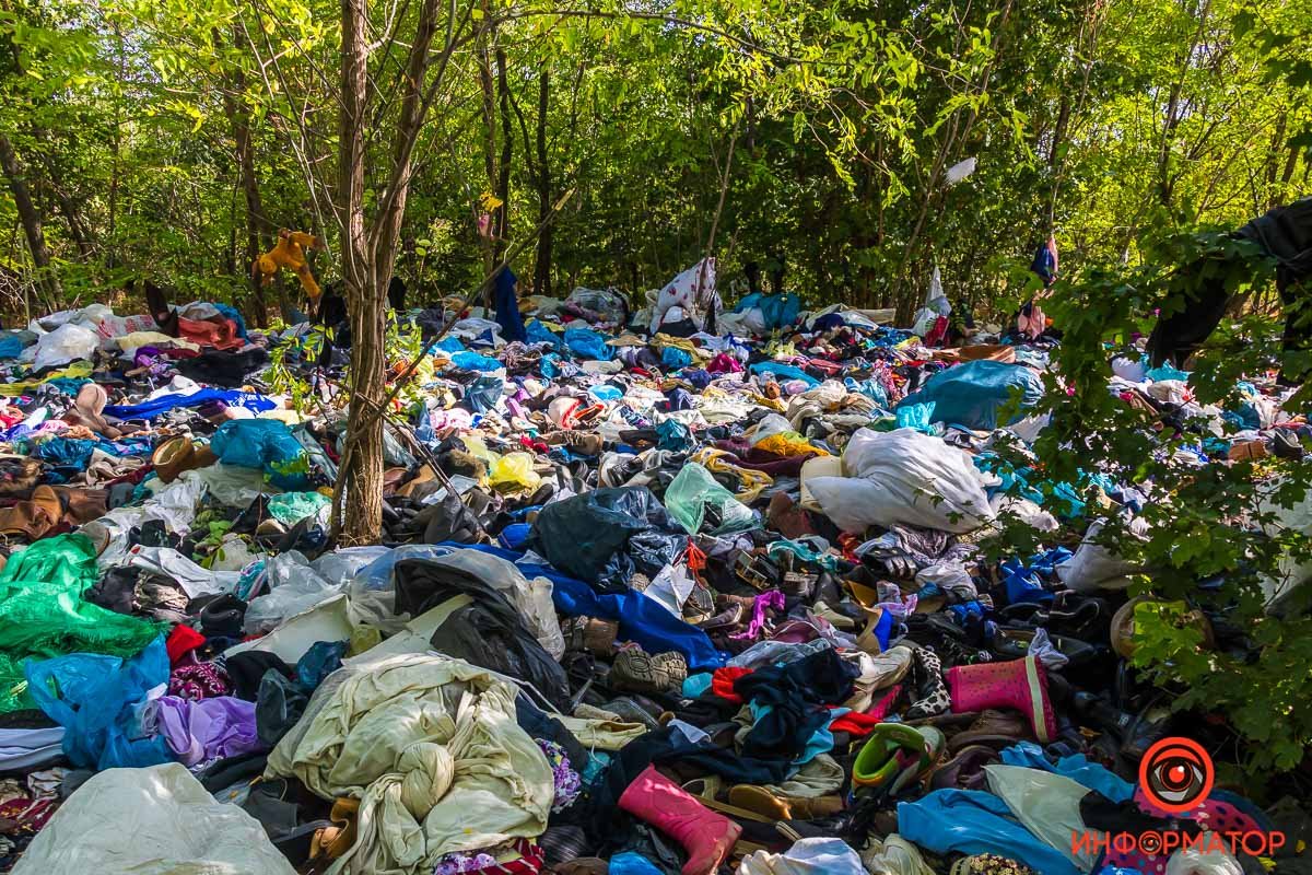 Теперь лесополоса выглядит так Теперь лесополоса выглядит так