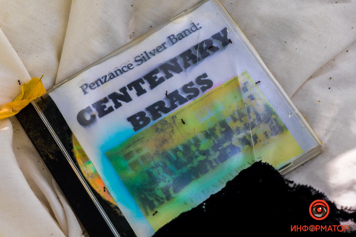 Лесная фауна оценила Лесная фауна оценила