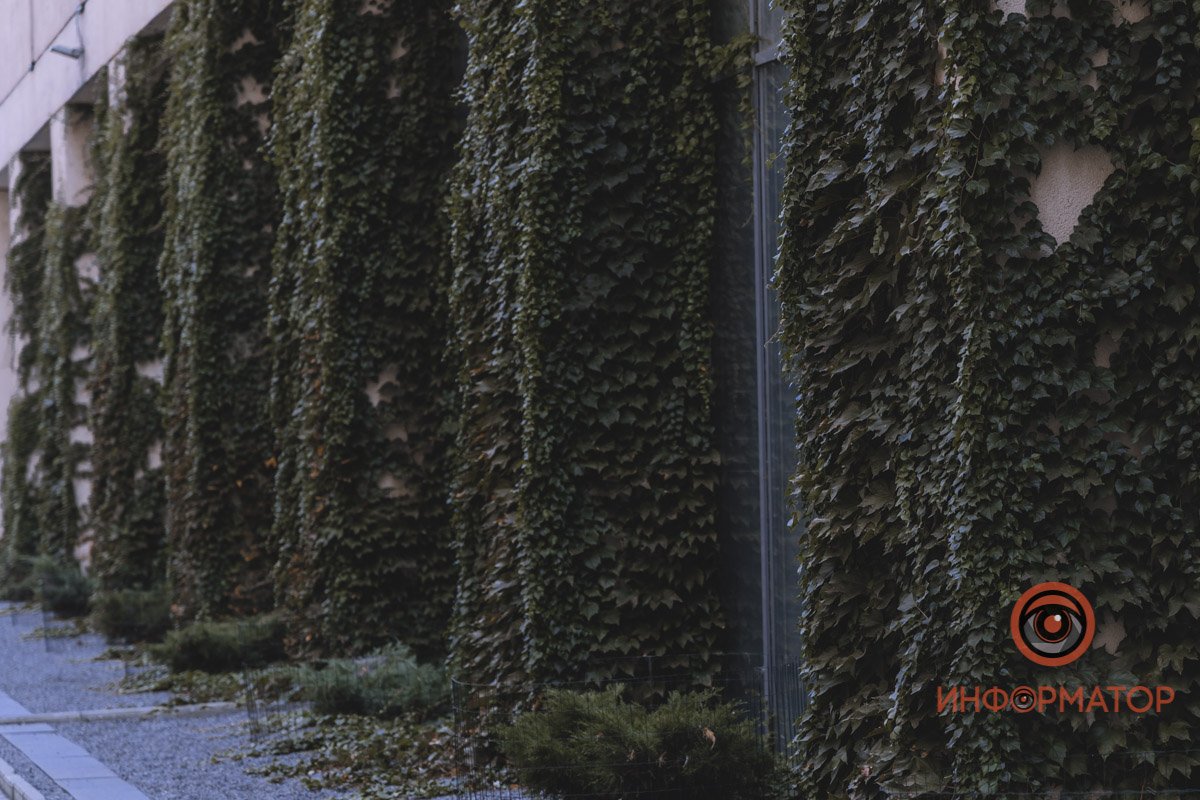 Оно в облаках, что белы словно мел.