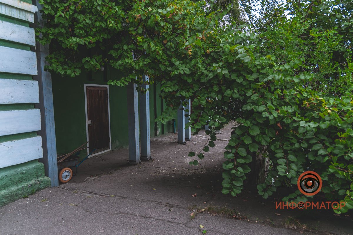 Уголок природы Уголок природы