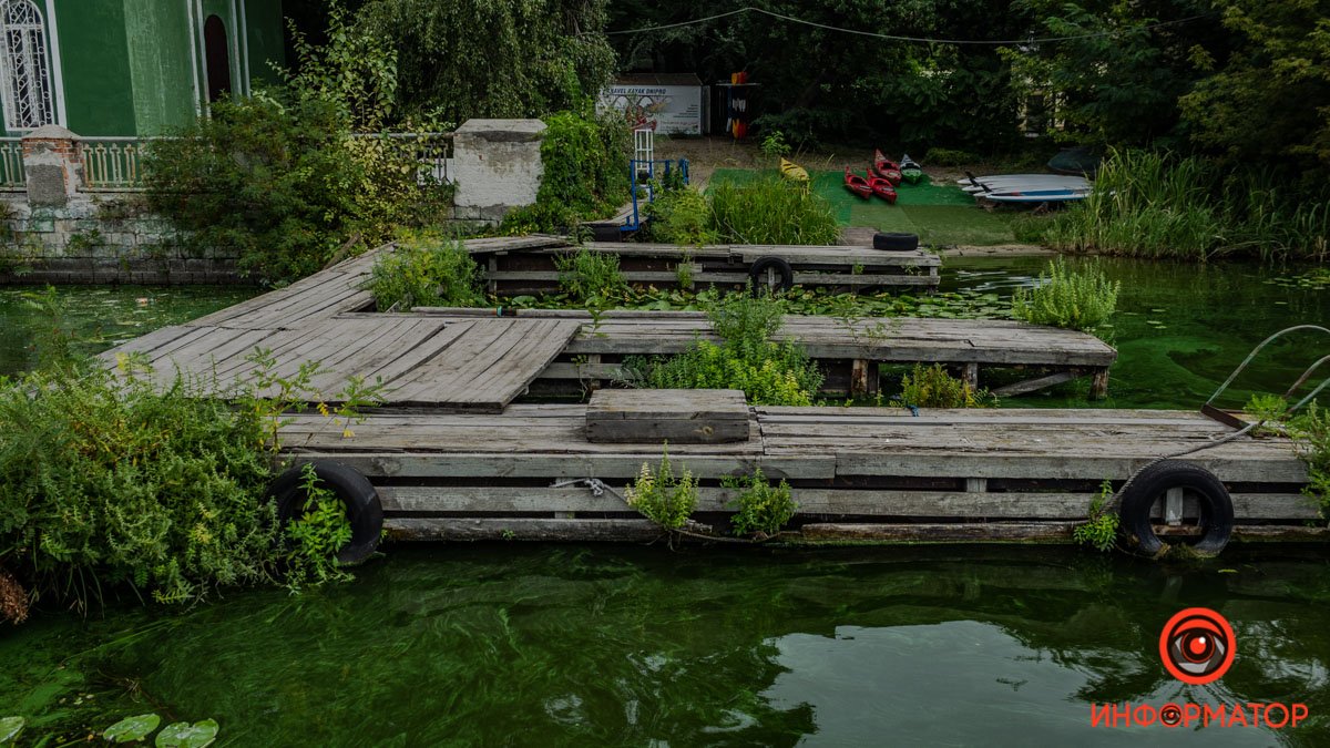 Какое все зелеееноеее Какое все зелеееноеее