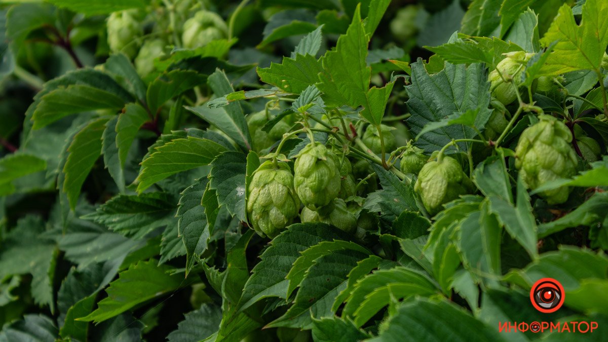 Мы любим нашу работу :) Мы любим нашу работу :)