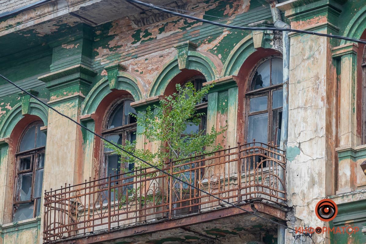 Природа пробирается  Природа пробирается