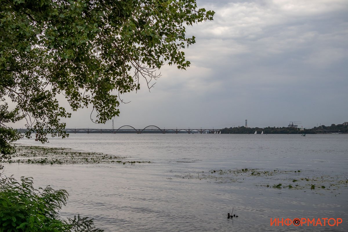 Вы тоже устали от солнцепека? Вы тоже устали от солнцепека?