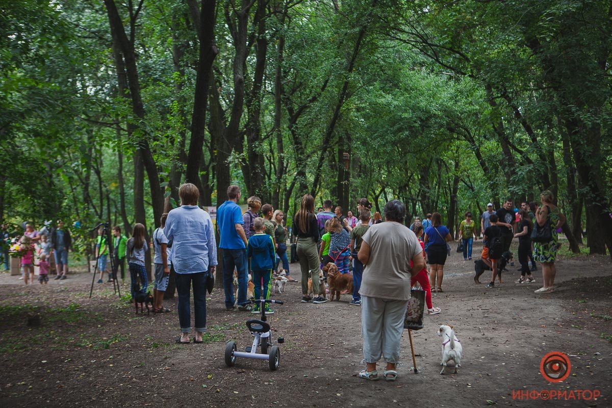 Зеленая зона на жилмассиве Сокол