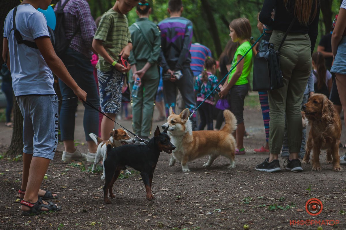 Открытие площадки для выгула собак