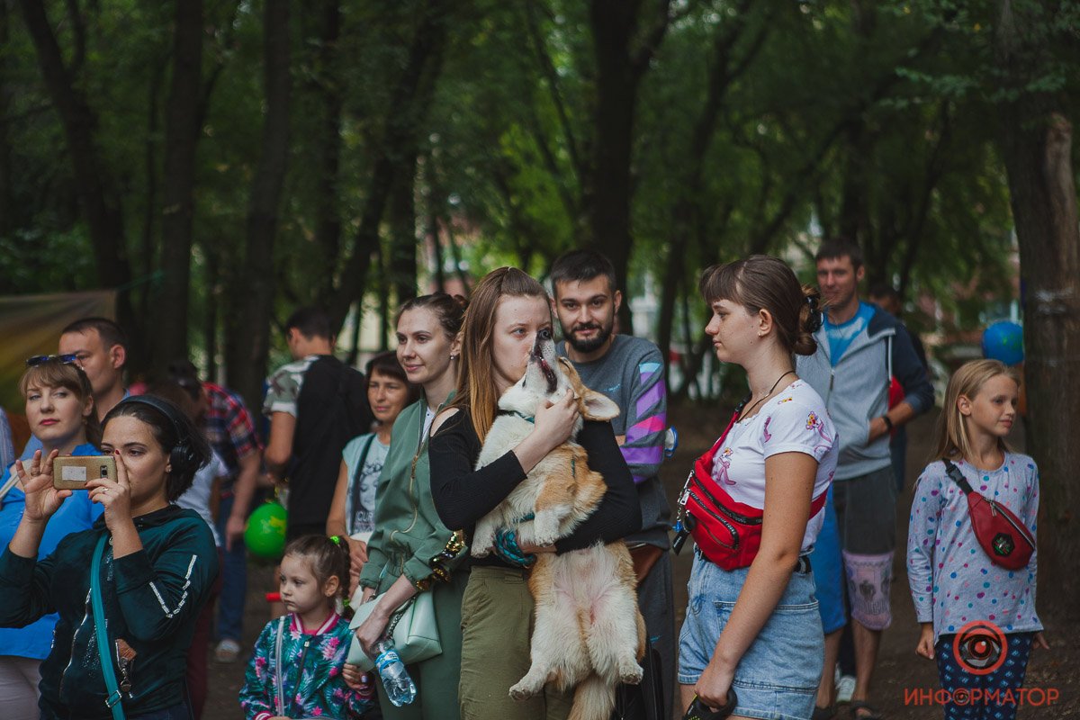 Четверолапые воодушевлены