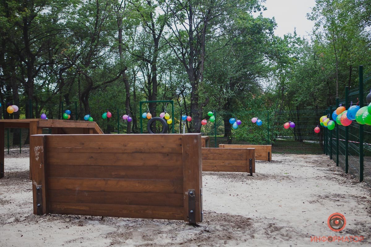 У собаководов Сокола появилось отличное место для выгула и дрессуры