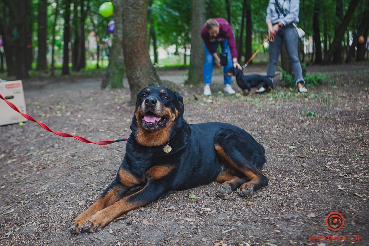 Подобную площадку хотят установить и на втором Соколе