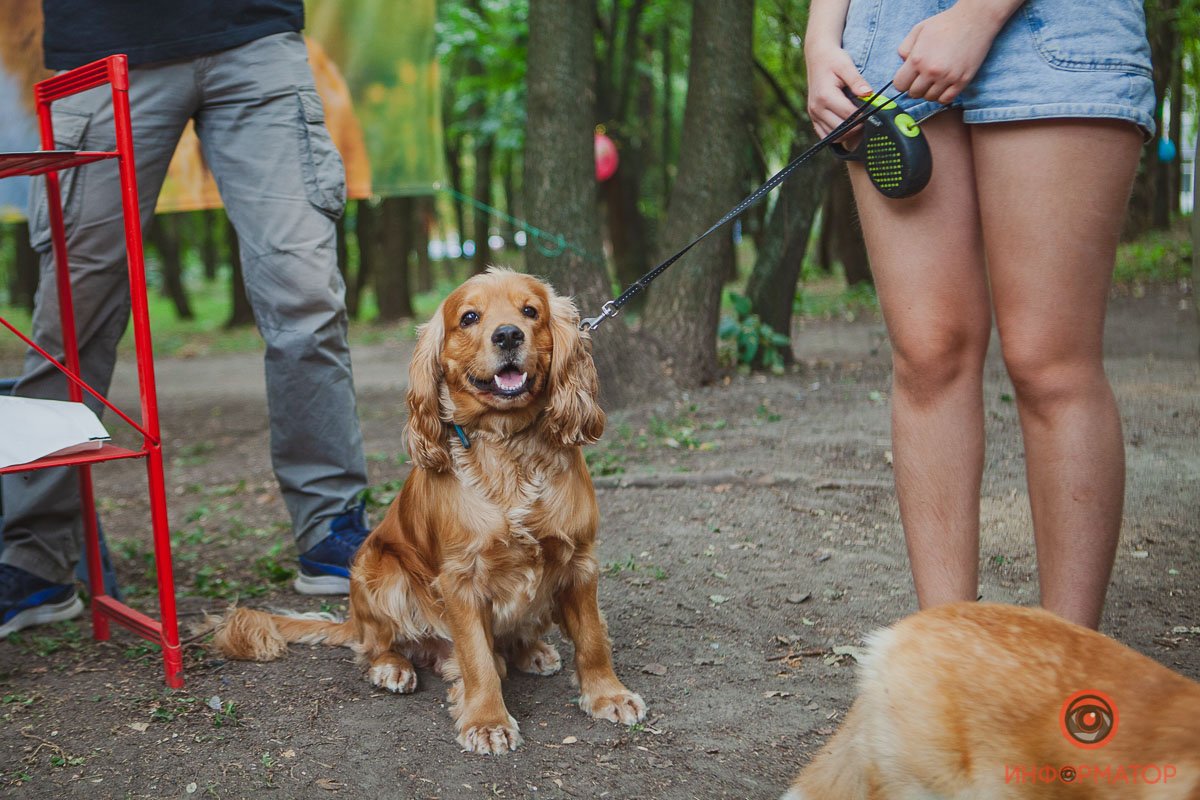 Площадка открытая, заниматься смогут все желающие