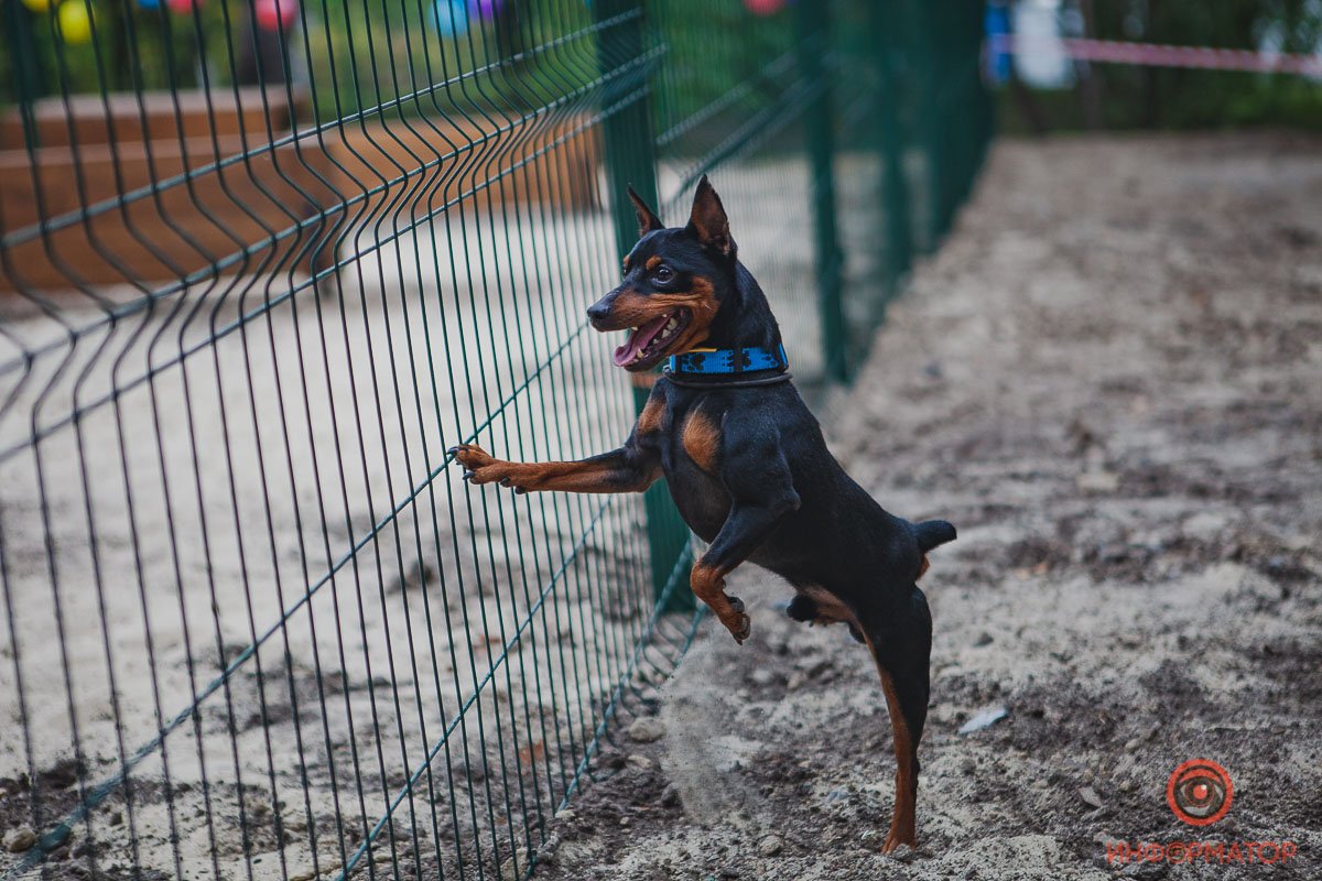 Оцениваем новую площадку