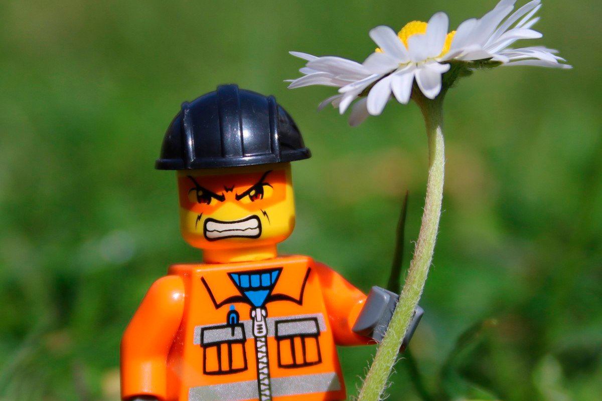 Политэкология, обучение каллиграфии и уроки английского: какие курсы пройдут в Днепре на следующей неделе 3