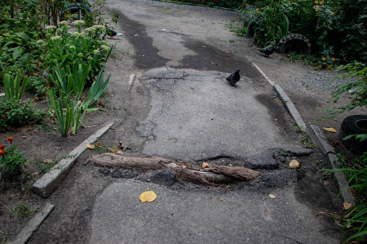 Выборы в Днепре: что жители Победы думают о депутате Федоренко 7