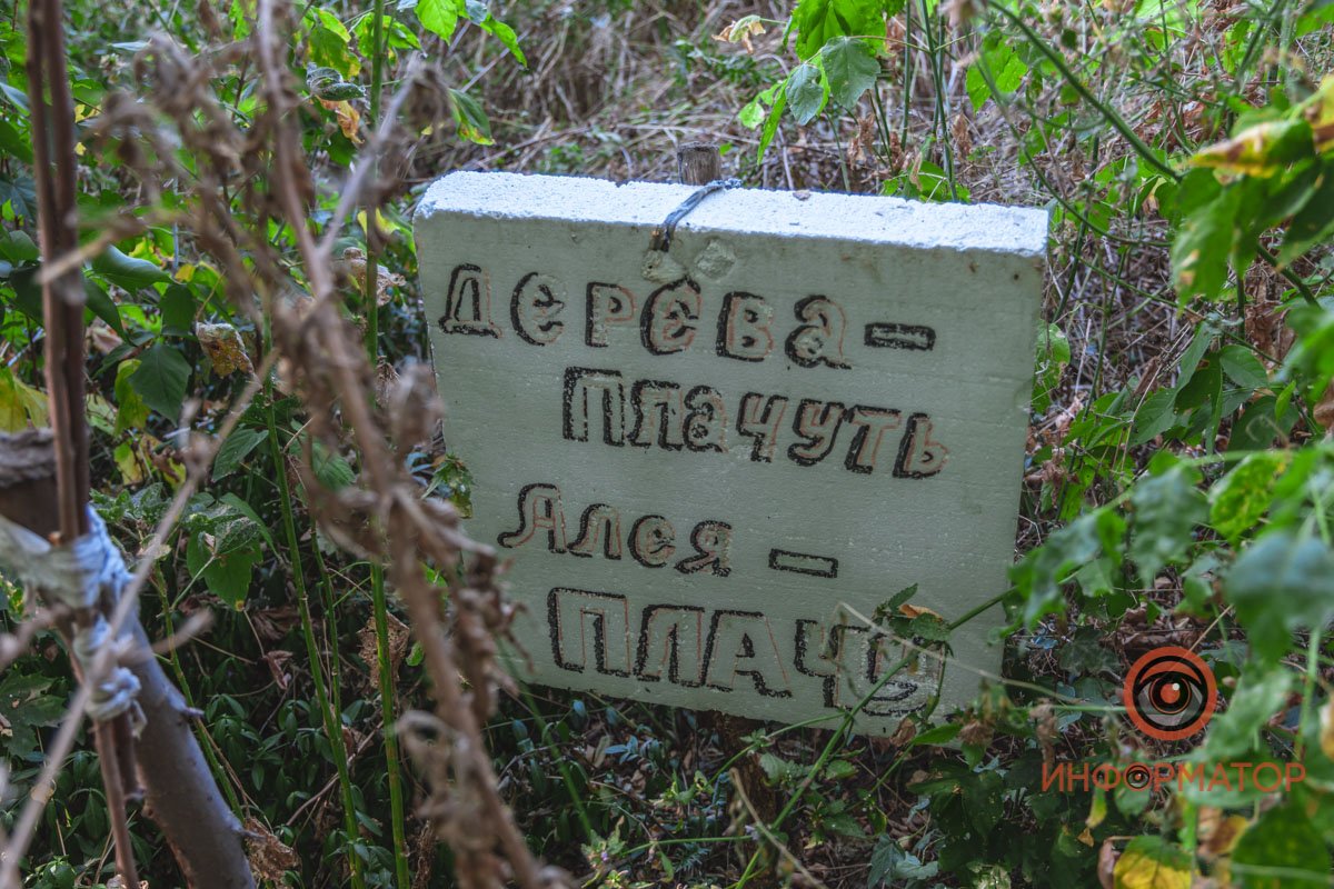 Название аллеи Название аллеи