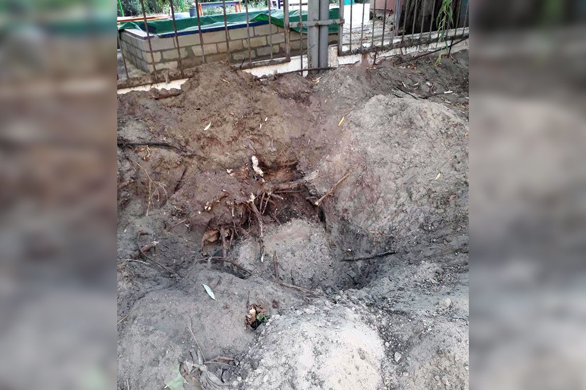 Рой пчел у детского сада Рой пчел у детского сада