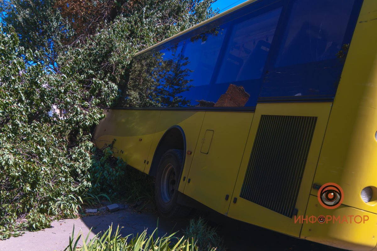 Для того чтобы убрать машину, необходимо обрезать ветки