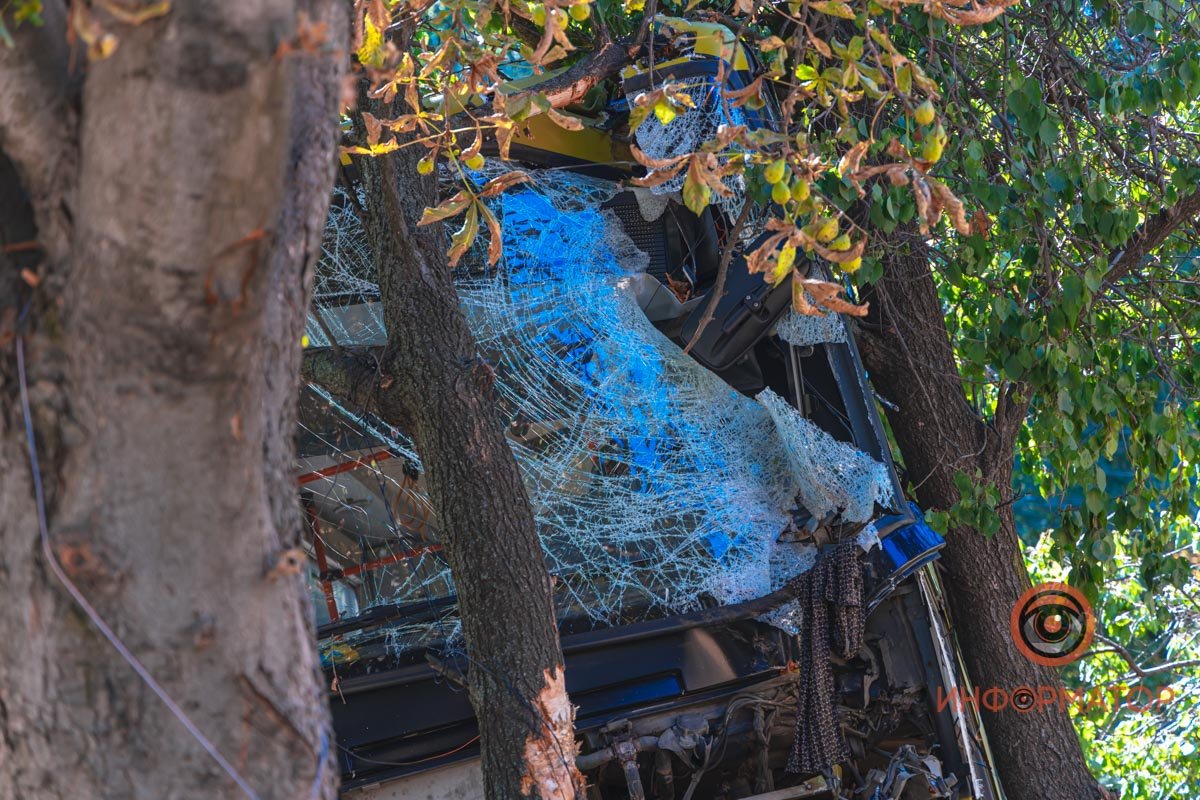 Автобус повис на дереве возле тротуара