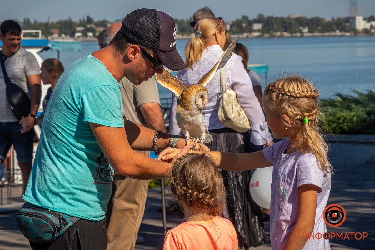 Бедная птичка :(