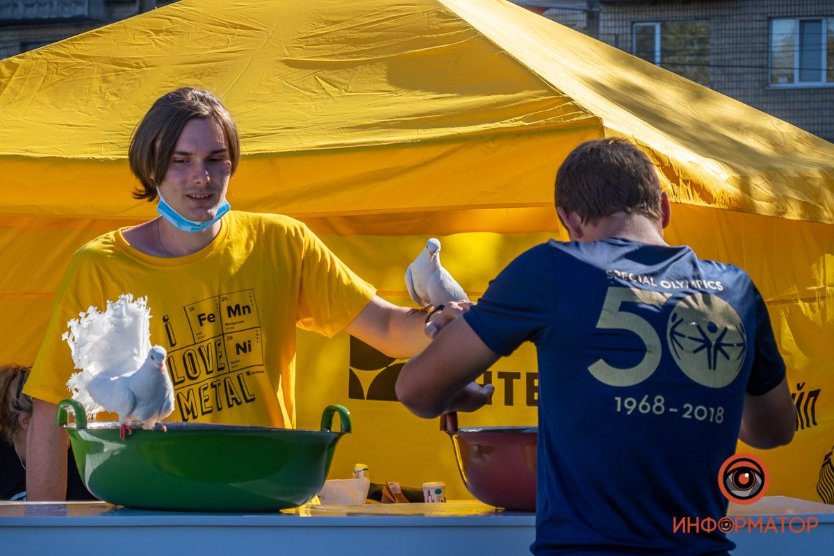 Птички не рады такой работе 