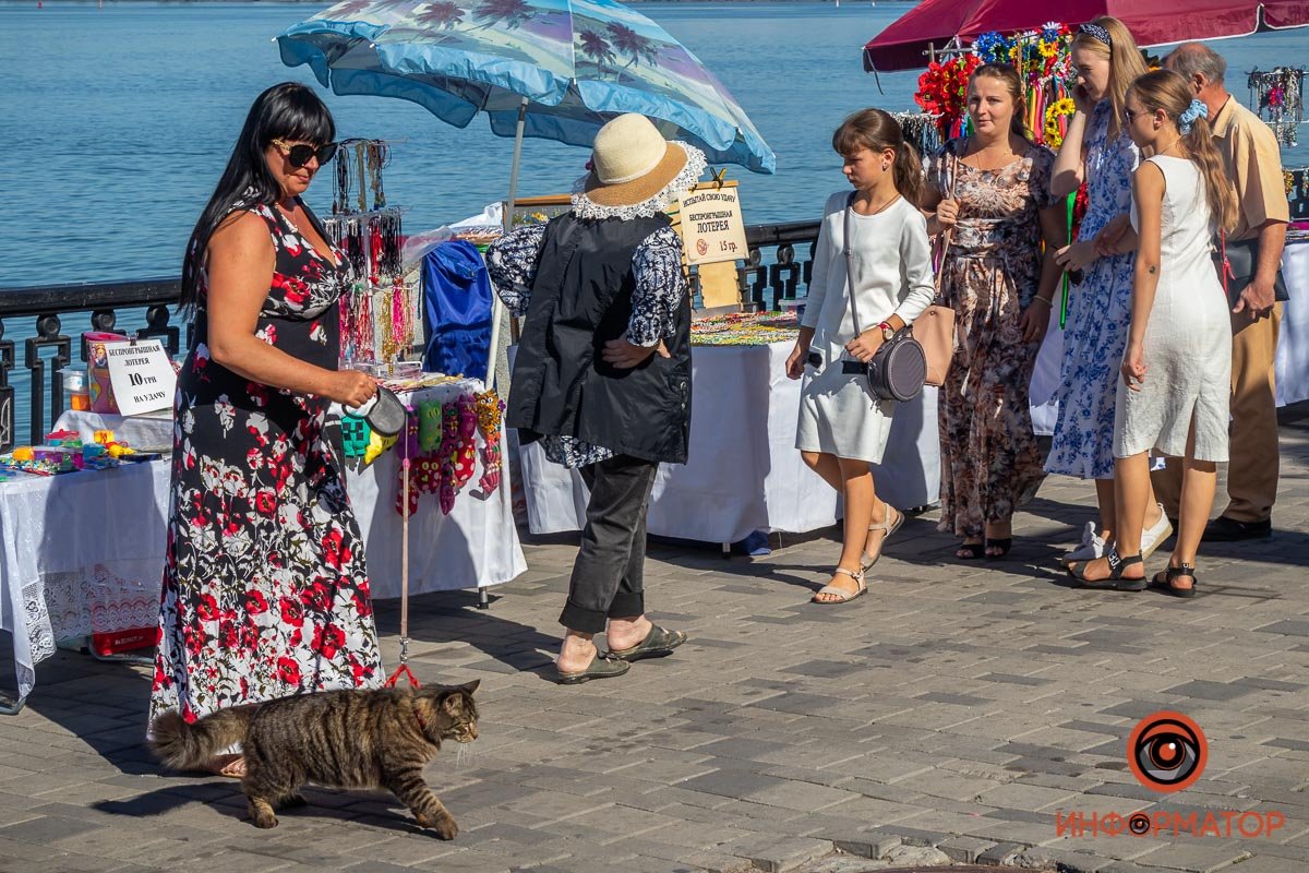 Днепр в кисах