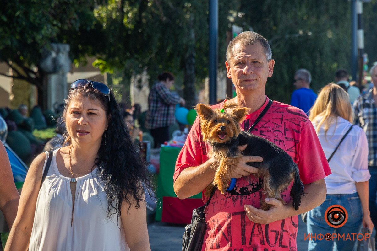 Собакен невероятно фотогеничный 