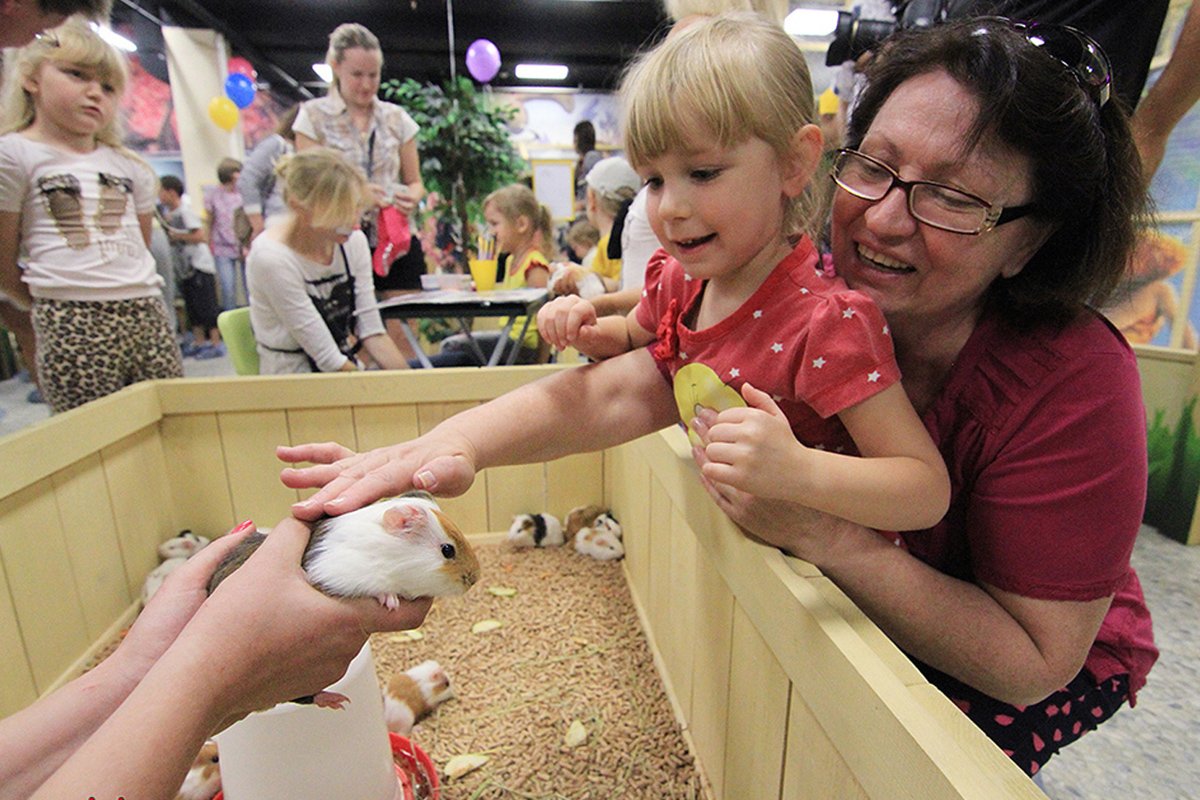 Удивительная возможность