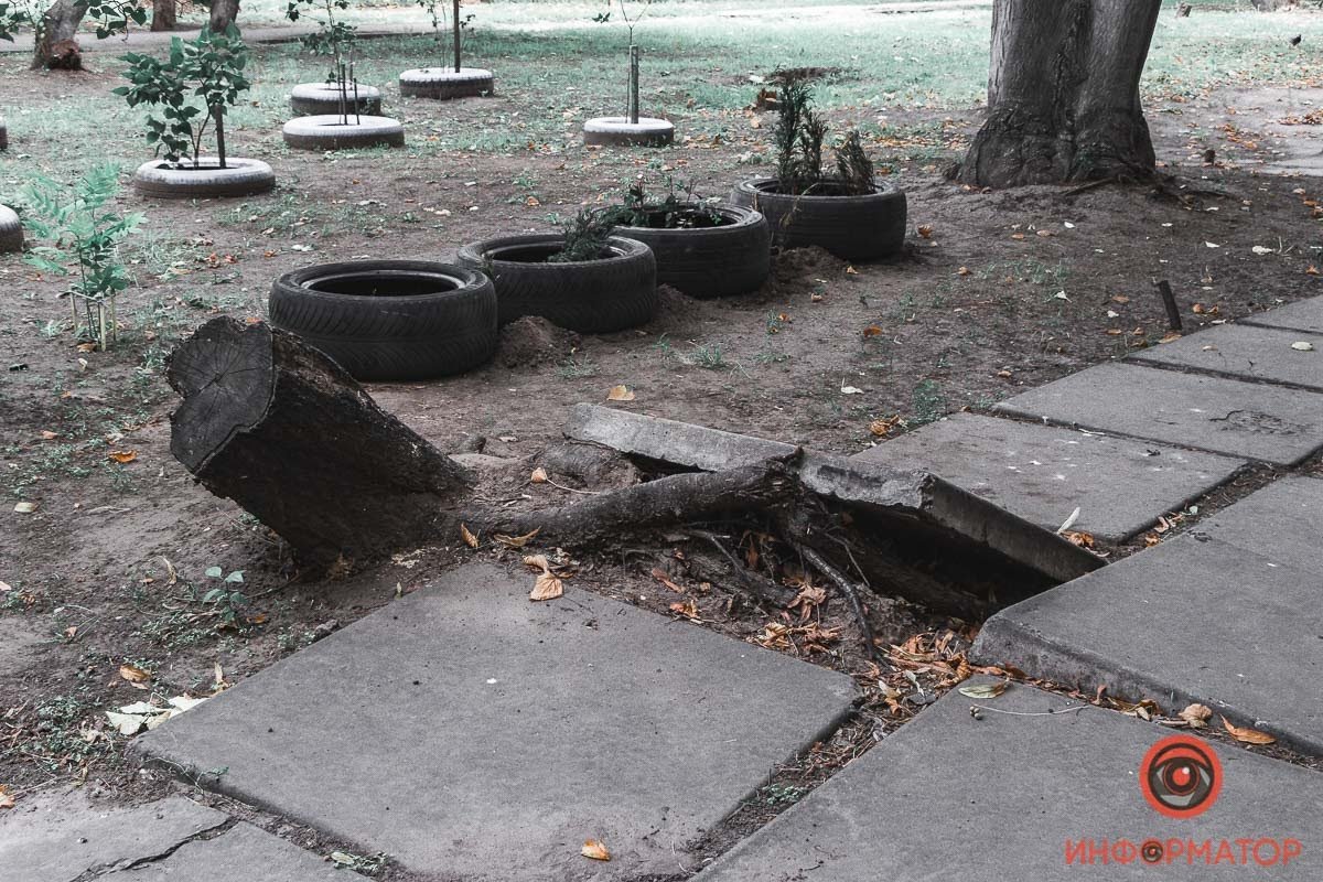 Выборы в Днепре. Округ Сергея Барановского - край разбитых дорог 8