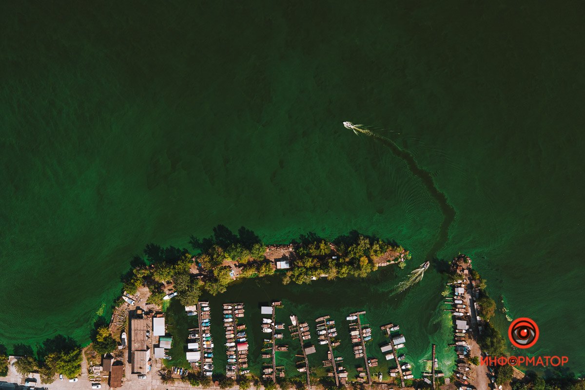 глаза их полны заката,