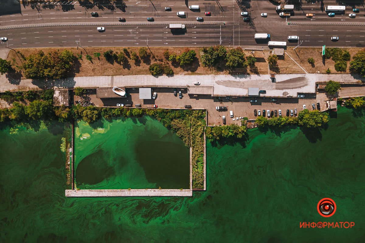 звезды дрожат над ними, 