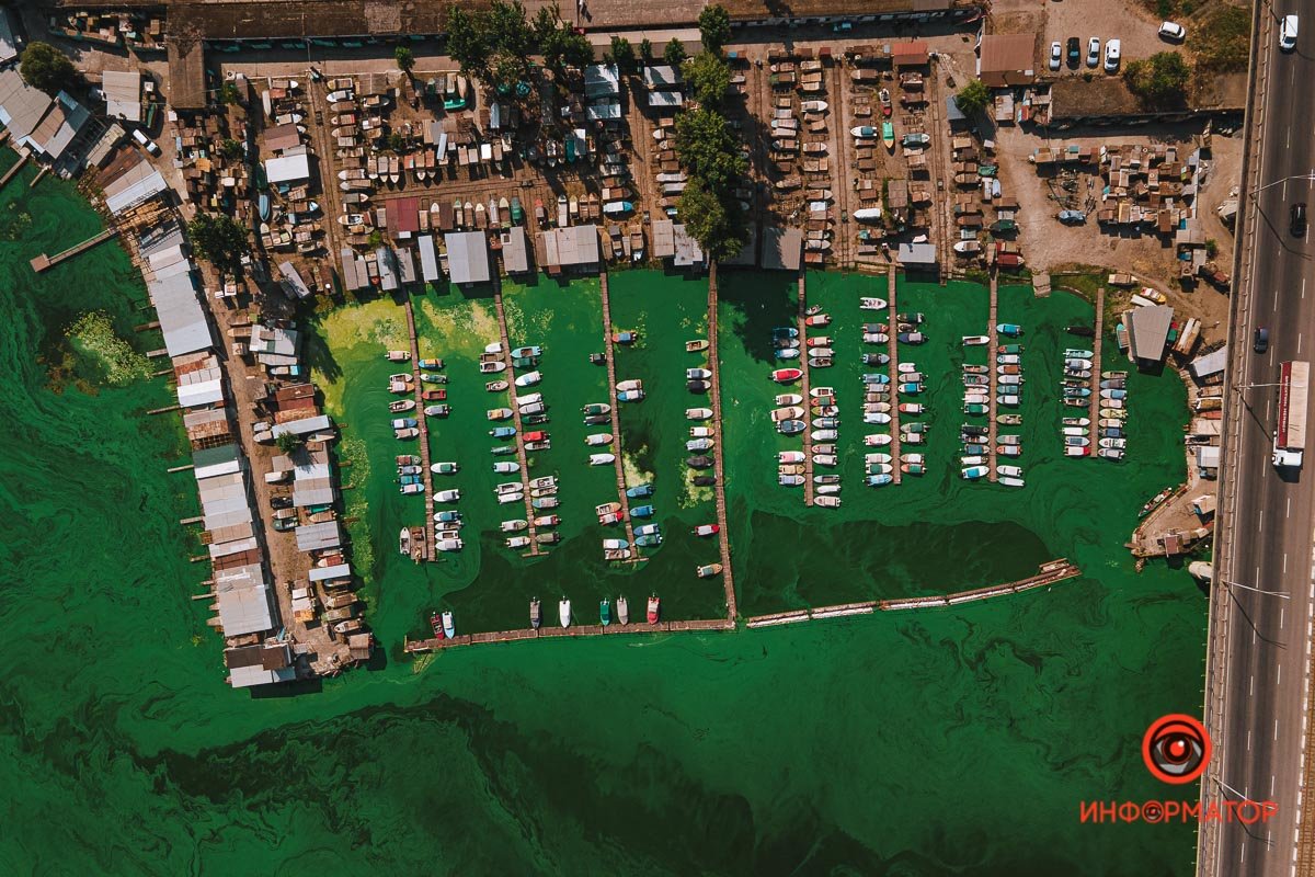 ослепительно снежным 