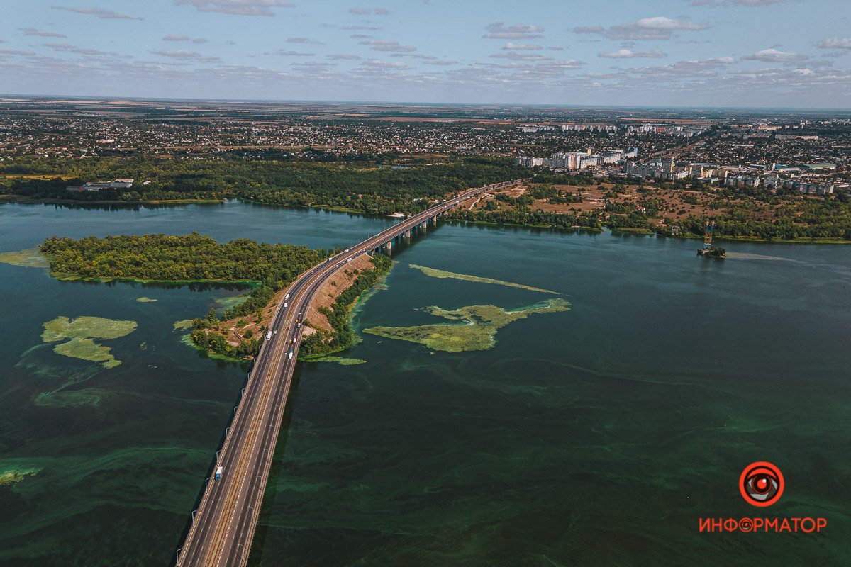 и сомнительно нежным,