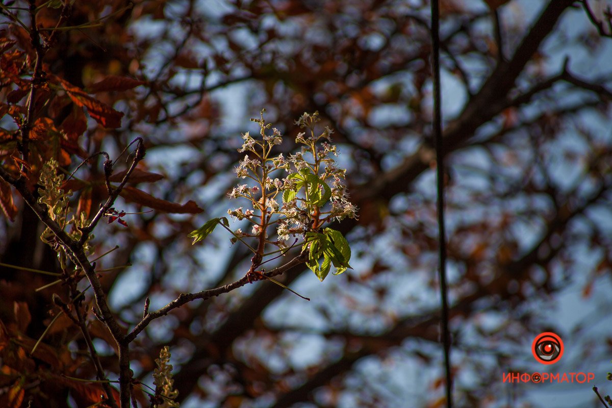 А вот и свечки А вот и свечки