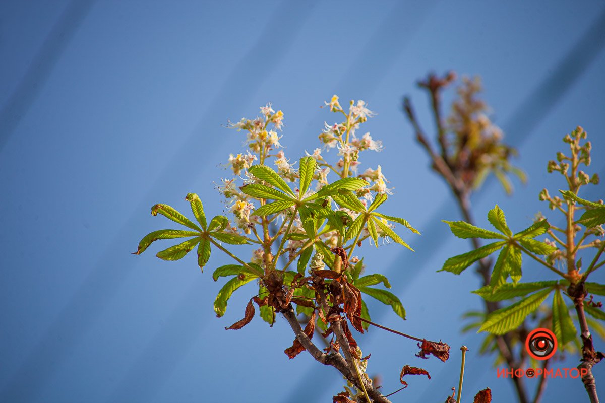 Весна в сентябре Весна в сентябре