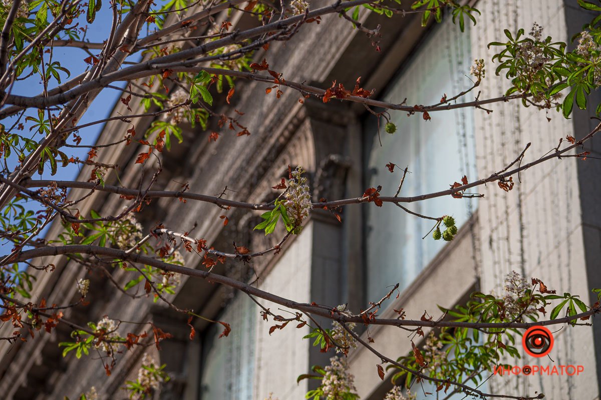 Это давно не аномалия Это давно не аномалия