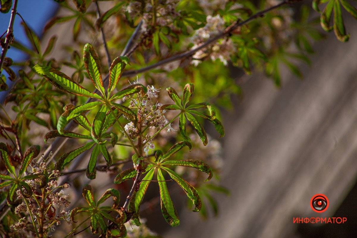 Сентябрь, что с тобой? Сентябрь, что с тобой?