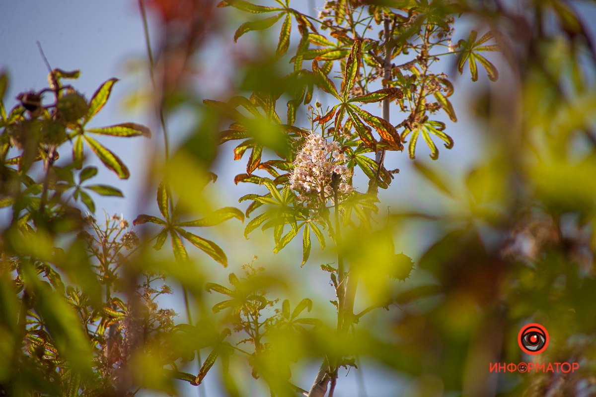 А за окном почти весна А за окном почти весна