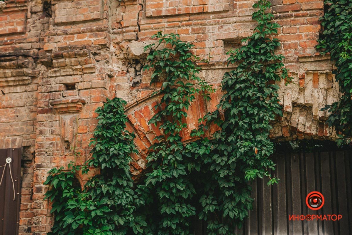 Природа берет свое