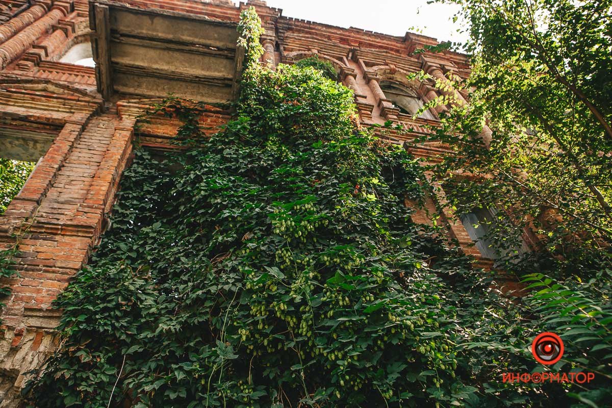 Давно запустело