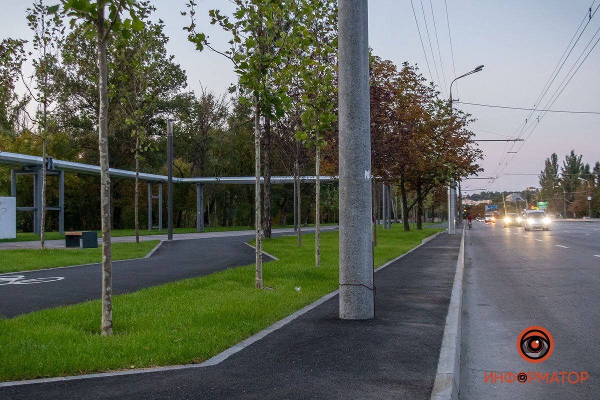 Высадили молодые деревья