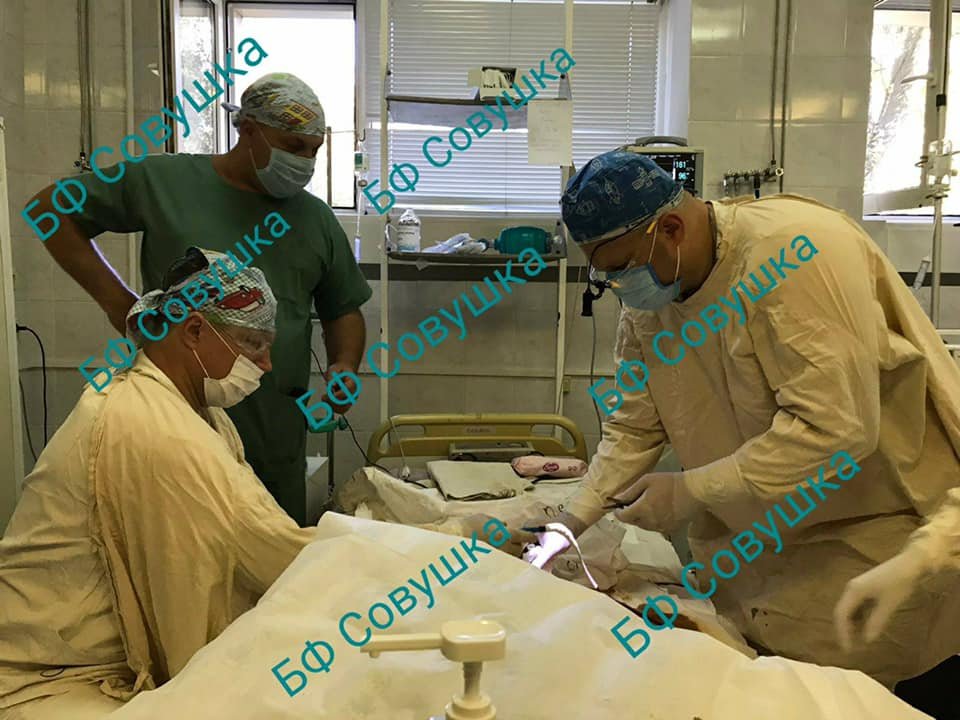 Два дня борьбы за жизнь: как себя чувствует 2-летний мальчик, которого покусали собаки 1