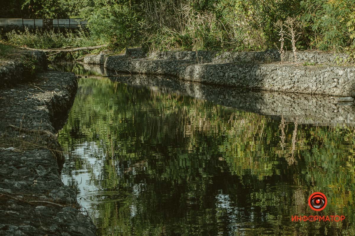 Водоем в парке Водоем в парке